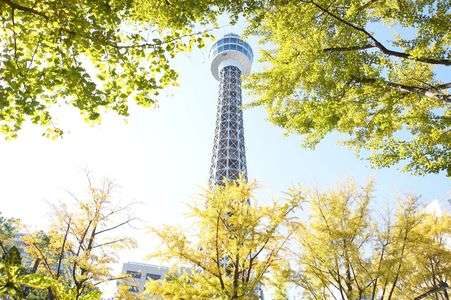黄葉のマリンタワー