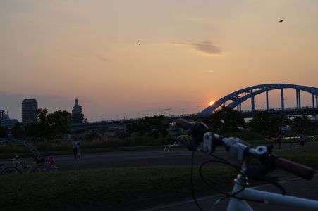夕陽の見える場所へ。丸子橋に架かり沈んでいく・・・。
