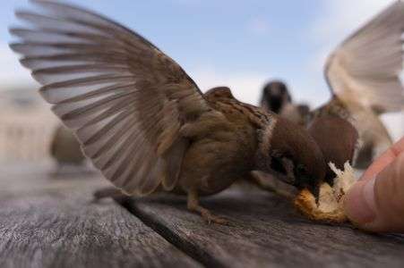 駄目なんですが