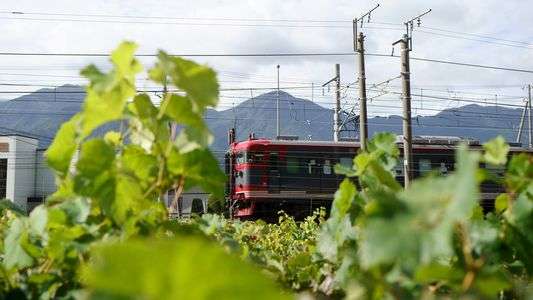 長野電鉄　ブドウ畑の中を走る　02