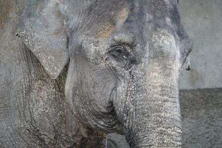 写真が好きなのね