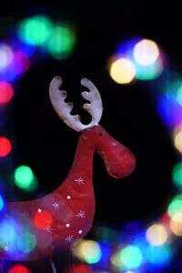 高崎のイルミネーションをキラキラに撮ろう♪