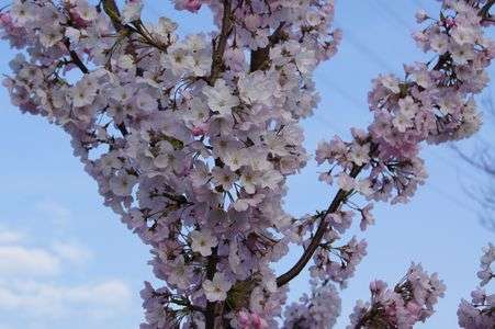 暖かかったんですけど…