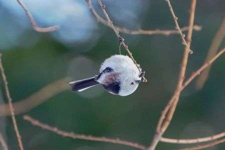 魅惑のポーズ●▲●