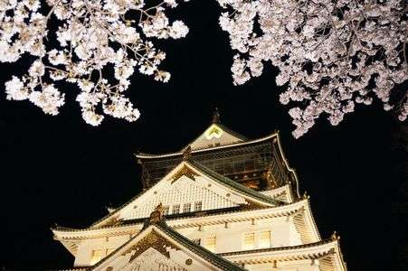 大阪城夜桜