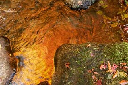 晩秋の日差し②