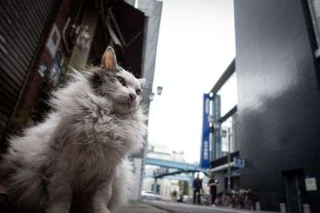 どんよりとした空の下で