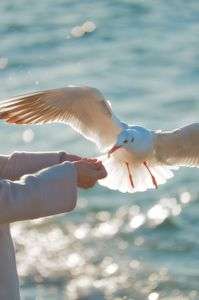 はい。どうぞ。