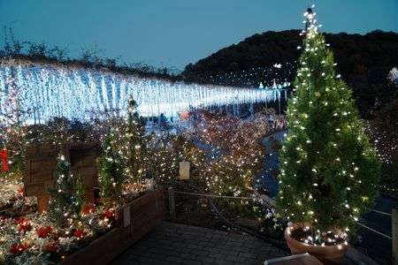 イルミネーション