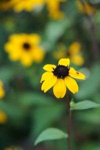 2013年夏旅行その2