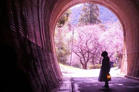 ２０２５年を、振り返ってみれば^^