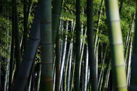 -静けさと心地よさ-