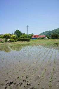 1年に1度、ただまっすぐに歩く難しさを知る日
