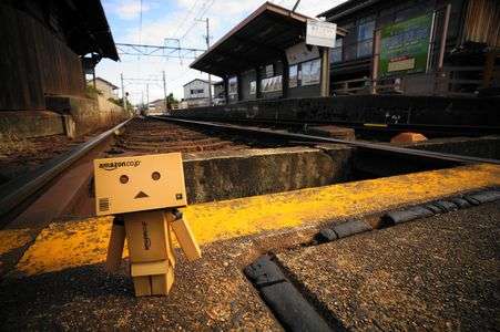 京都×ダンボー②