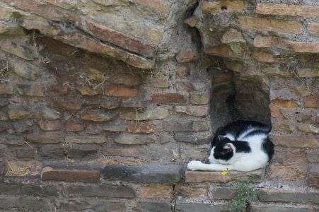 すやすや・・・