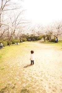 ちょうちょ、行っちゃった。