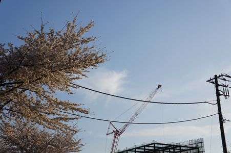 夕日に染まる前