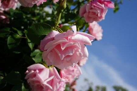 神戸中央体育館前にて