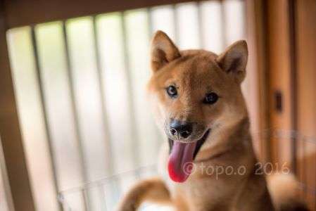 いい天気っすよ〜