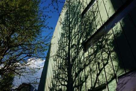 ビルに映える木々