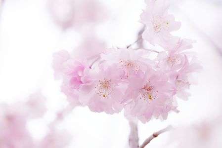 雨の降る前に．．．