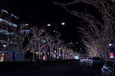 表参道イルミネーション