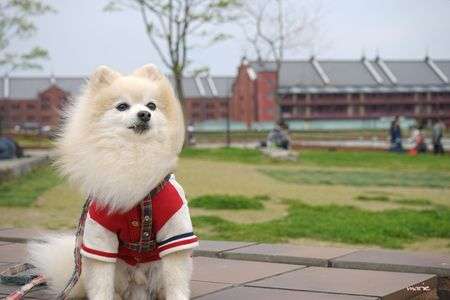 みなとみらいにて