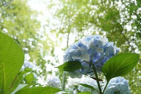光を浴びて、空のいろ