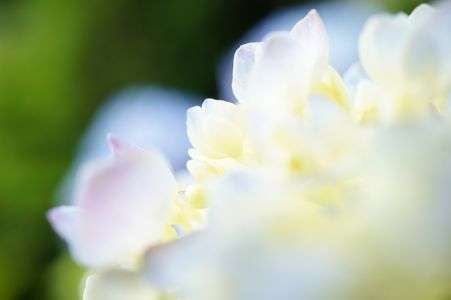 お隣からこんにちは！