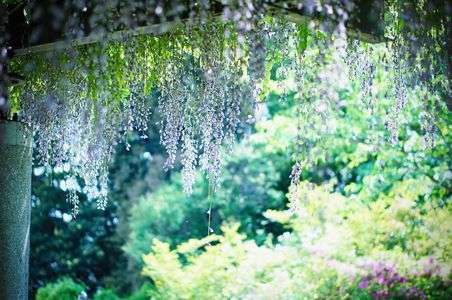 また、会えますように