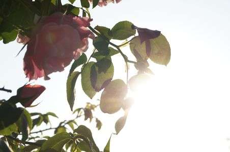 少しだけ過去の写真発掘