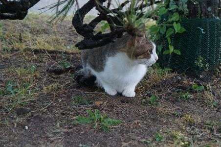 ご無沙汰しておりました。