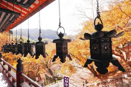 奈良の旅＠岡寺・談山神社(2025.11.28)