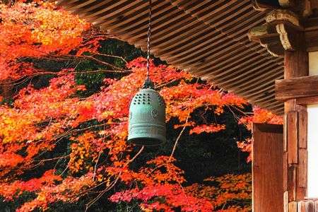 奈良の旅＠室生寺(2025.11.26)