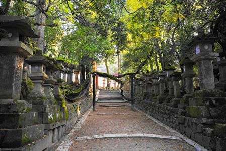 奈良の旅＠春日大社(2025.11.27)