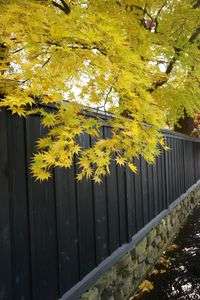 みちのくの小京都