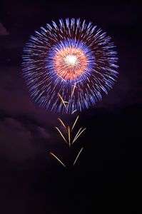 夜空に咲く一輪花