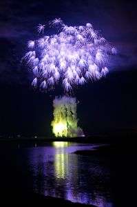 宮川に映える青い花たち