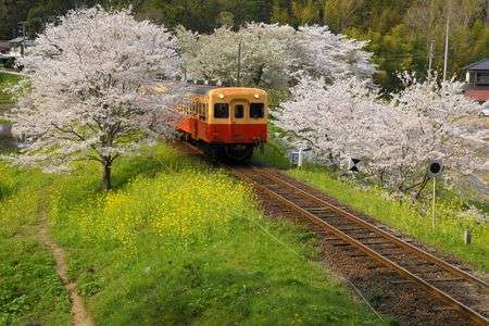 小湊鉄道春景色