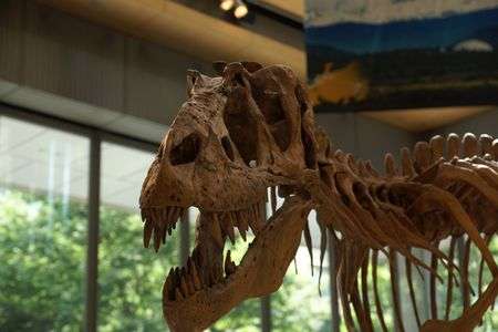 丸ビルに恐竜