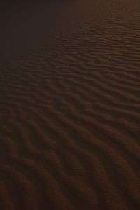 サハラ砂漠の風紋