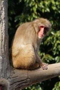 一人にしてくれ