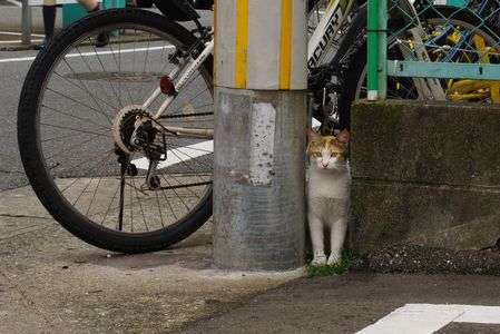 AF-S NIKKOR 18-35mm f/3.5-4.5G ED