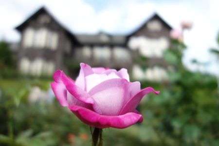 旧古河庭園にて