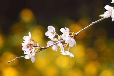 久々のカメラ散歩