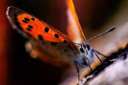 そろそろ今年も終わり