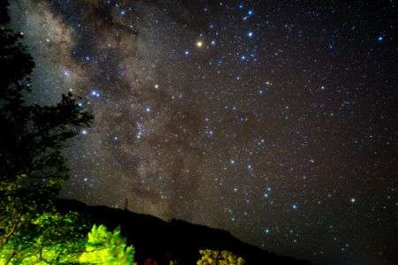 亜熱帯ジャングルの天の川