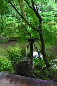 梅雨の京都大原三千院