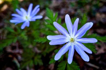 岩洞湖のほとりで