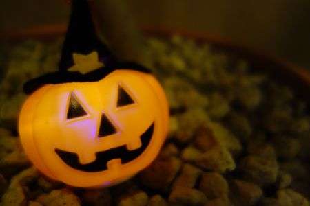 ハロウィン３１